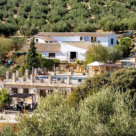 Hacienda La Buena Vida B&B En Appartementen Casita La Bruja Algarinejo Zimmer foto
