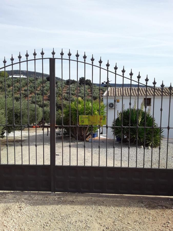 Hacienda La Buena Vida B&B En Appartementen Casita La Bruja Algarinejo Exterior foto