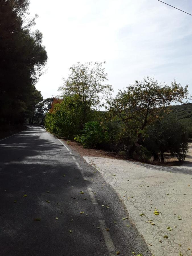 Hacienda La Buena Vida B&B En Appartementen Casita La Bruja Algarinejo Exterior foto