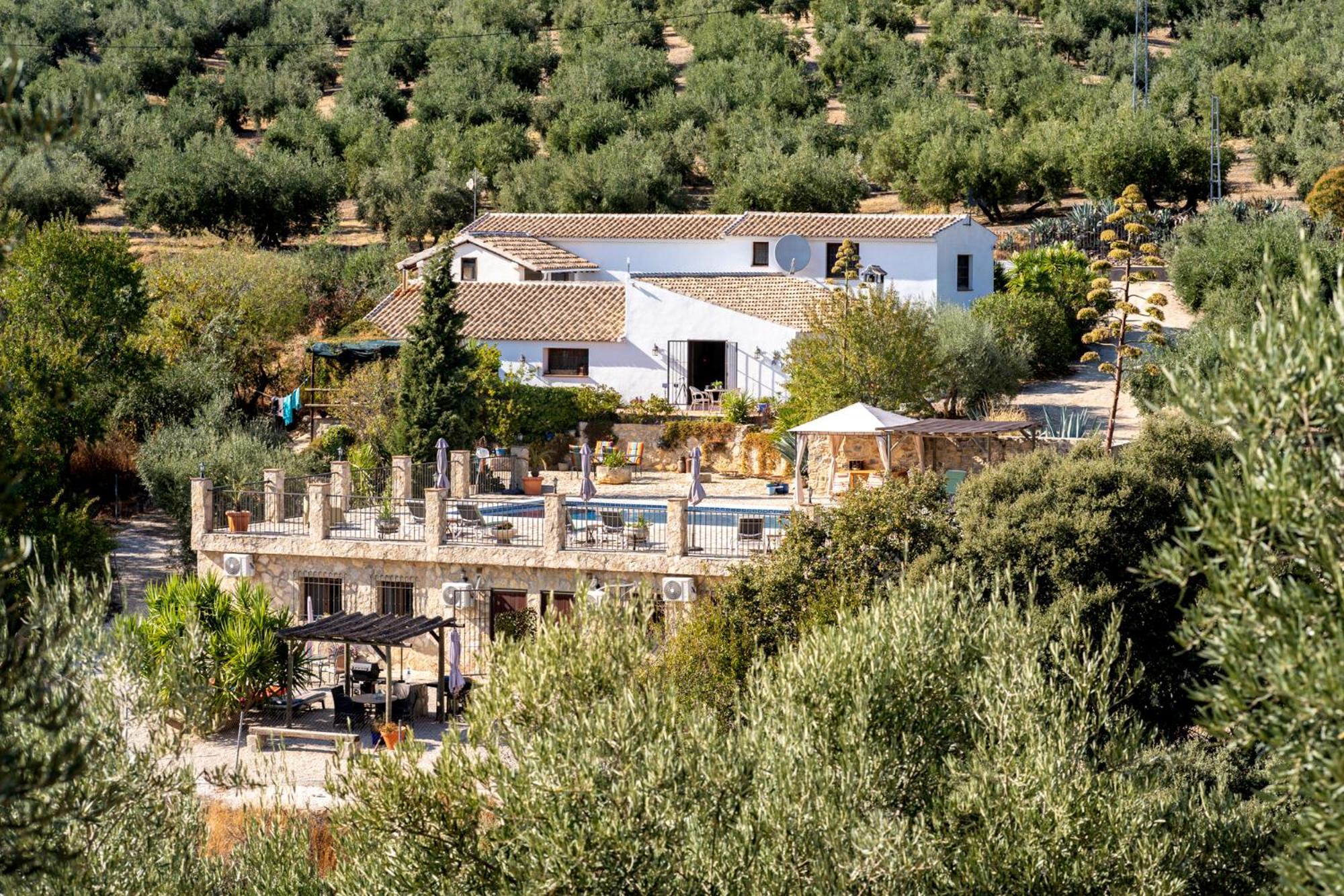 Hacienda La Buena Vida B&B En Appartementen Casita La Bruja Algarinejo Zimmer foto